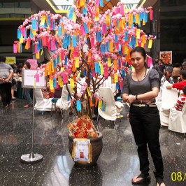 Sincia Carnaval Uniland